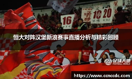 恒大对阵汉堡新浪赛事直播分析与精彩回顾