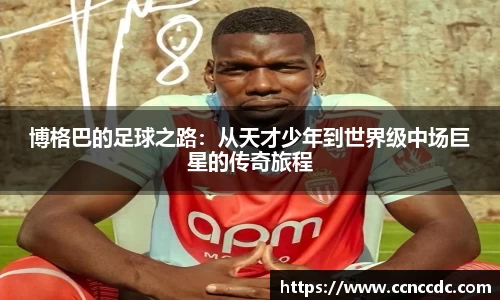 ng28相信品牌的力量