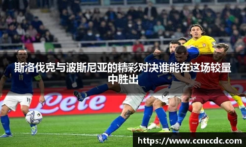 斯洛伐克与波斯尼亚的精彩对决谁能在这场较量中胜出